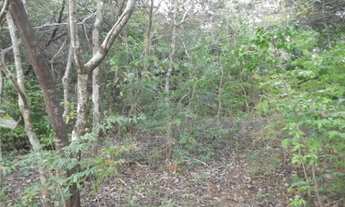 Imagem 5: Oportunidade terreno de 14 hectares,Jaboticatubas (Temos varias opções)