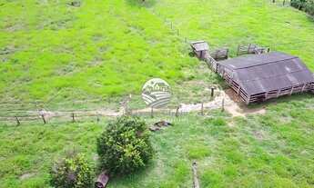 Imagem 7: Theobroma - Sítio - 10 alqueires Palmares