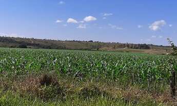 Imagem 5: Fazenda DF-310 194 Hectares !!! 10.670.000 !!!