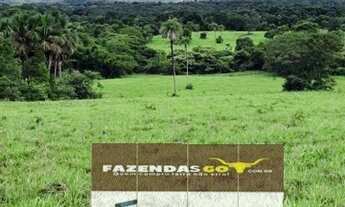 Imagem 3: Fazenda Extra - 40 Alqueires ! Região de Mutunopolis GO