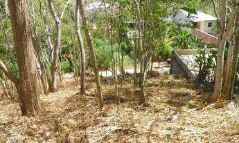 Imagem 5: Terreno à venda, 465 m² por R$ 100.000 - Engenho do Mato - Niterói/RJ