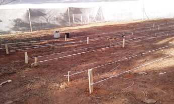 Imagem 6: Vendo sítio de 4 alqueirões próximo a Uberlândia