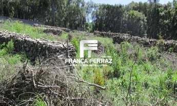 Imagem 6: Terreno, Colombo