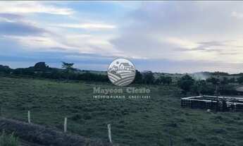 Imagem 2: Theobroma - Sítio - 22.5 Alqueires top