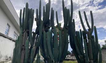 Imagem 2: Imóvel Comercial Avenida Senador José Lourenço Dias - Centro