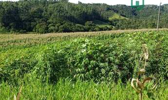 Imagem 7: Sítio com 3 dormitórios à venda, 250000 m² por R$ 1.650.000,00 - Centro - Rio do Campo/SC