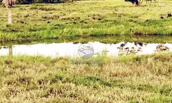 Imagem 5: Theobroma - Sítio - 22.5 Alqueires top