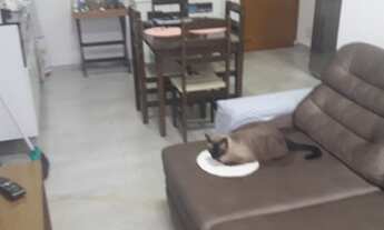 Imagem 3: Apartamento para venda tem 51 metros quadrados com 2 quartos em Parque Industrial - São Ca