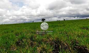 Imagem 3: Machadinho D'Oeste - Fazenda - 140 Alqueires