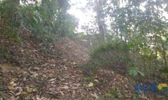 Imagem 5: Sítio à venda, 16000 m² por R$ 2.400.000,00 - Várzea das Moças - Niterói/RJ