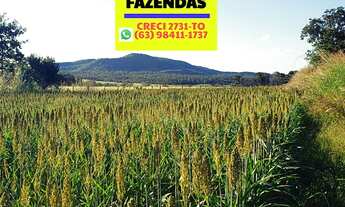 Imagem 3: Fazenda Porto Nacional em Lavoura