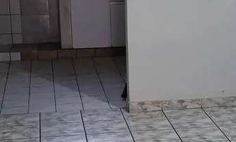 Imagem 2: Casa para alugar