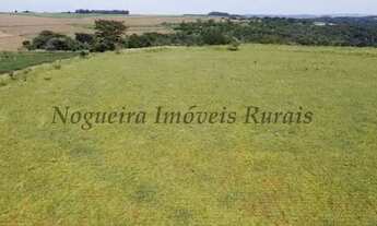 Imagem 2: Fazenda com 136 alqueires na região de Jaú (Nogueira Imóveis Rurais