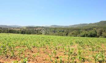 Imagem 5: SãO LEOPOLDO - Terreno Padrão - Campestre