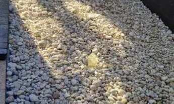 Imagem 7: Sobrado com 3 dormitórios à venda, 470 m² por R$ 3.200.000,00 - Loteamento Alphaville Cuia