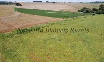 Imagem 6: Fazenda com 136 alqueires na região de Jaú (Nogueira Imóveis Rurais
