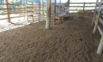 Imagem 7: Sitio em Domingos Martins, Alto Rio Ponte com 92.000 metros quadrados