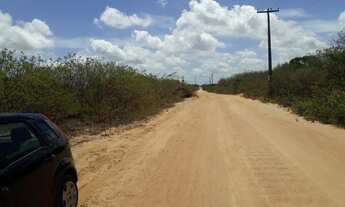 Imagem 5: Pechincha terreno p/ galpao ou gj a. Mineral