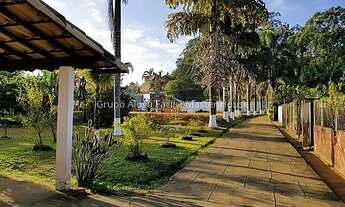 Imagem 5: Ref.: 10003 - Sítio 5000m² - Novo Horizonte