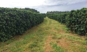 Imagem 5: Fazenda em araxa 1.100 hectares 34.000.000.00