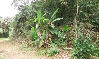 Imagem 7: Terreno à venda, 5200 m² por R$ 250.000,00 - Fazenda Boa Fé - Teresópolis/RJ