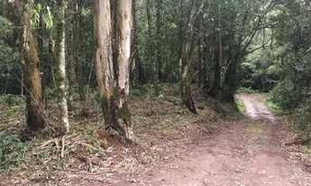 Imagem 4: Chácara são Francisco de Paula