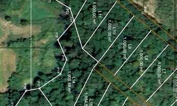 Imagem 1: Fazendinhas com água/córrego