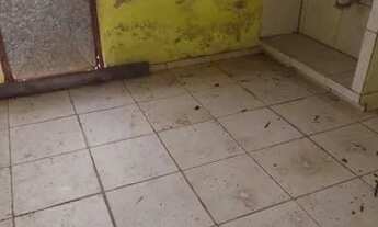 Imagem 5: Casa com terreno casa grande