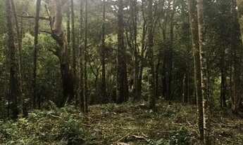 Imagem 5: Chácara são Francisco de Paula