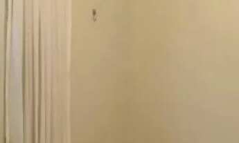 Imagem 5: Cond. Quintas do Sol - 02 quartos c/ garagem