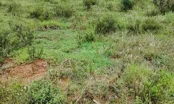 Imagem 5: Terreno de dois hequitares baratos