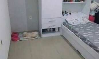 Imagem 2: Quot; Vendo Casa Em Bela Aurora