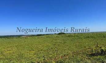 Imagem 3: Fazenda com 136 alqueires na região de Jaú (Nogueira Imóveis Rurais