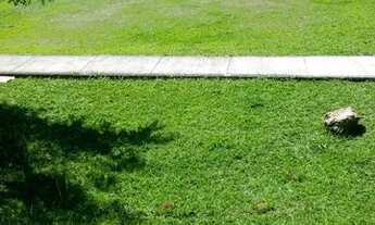 Imagem 2: Vendo lindo apartamento perto da Fiat