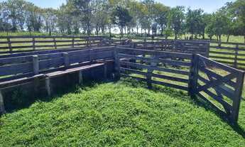 Imagem 6: Vendo Fazenda Fazenda / sítio com venda por R$400.000
