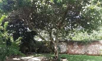 Imagem 7: Casa no km 6 de Aldeia com preço espetacular