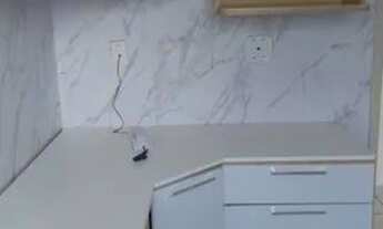 Imagem 4: APARTAMENTO LOCAÇÃO MOEMA, SEMI-MOBILIADO, PRÓX. AO METRÔ MOEMA