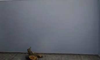 Imagem 3: Sobrado para venda possui 195 metros quadrados com 3 quartos em Cidade Universitária - Cam