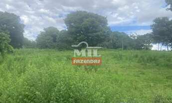 Imagem 6: Chácara 5,6 alqueires (27 hectares) Trindade - GO