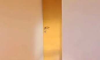 Imagem 6: Apartamento à venda com 2 quartos no Seminário - Curitiba - PR