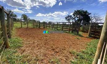 Imagem 7: FAZENDA À VENDA - 166 HECTARES - REGIÃO DE CURVELO (MG