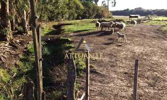 Imagem 4: Sítio em Vacaria/RS