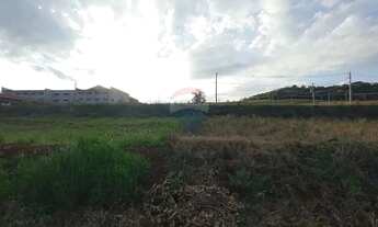 Imagem 3: TERRENO RESIDENCIAL - SARANDI/RS