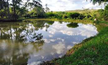 Imagem 6: FAZENDA 7 ALQUEIRES ALEXÂNIA- GO