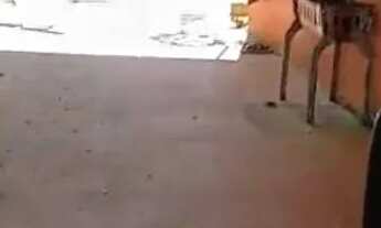 Imagem 4: VENDO LINDO SITIO