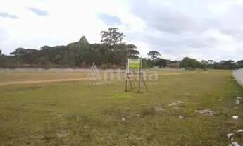 Imagem 3: Área para alugar por R$ 6000.00, 5000.00 m2 - IPE - SAO JOSE DOS PINHAIS/PR