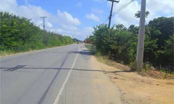 Imagem 4: Sua Oportunidade de Investimento em Maragogi!