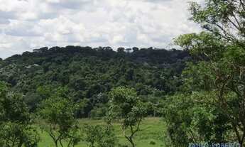 Imagem 6: TERRENO - JARDIM PAULISTA - SP