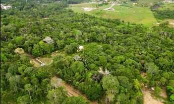 Imagem 6: Terreno no Tarumã medindo 10.000m²