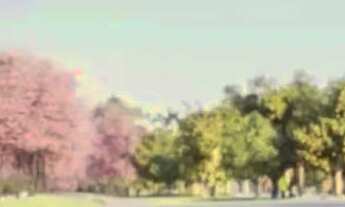 Imagem 5: Lote Jardins França, 420 m²